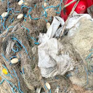 Zeci de borcane cu icre, unelte de pescuit şi motorină descoperite de poliţiştii de frontieră constănţeni