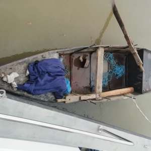 Braconier depistat de polițiștii de frontieră brăileni