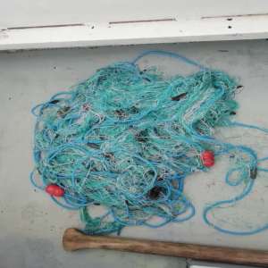 Braconier depistat de polițiștii de frontieră brăileni