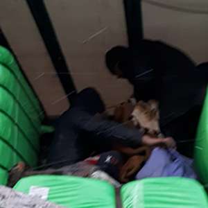 43 de cetăţeni din Afganistan, Eritreea, Turcia, Irak şi Pakistan depistați de poliţiştii de frontieră arădeni și bihoreni