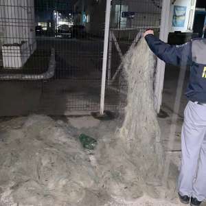 Plase de pescuit în lungime de aproximativ 1.300 m, confiscate de poliţiştii de frontieră călărăşeni