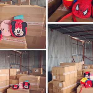 Ghiozdane în valoare de 8.000 lei confiscaţi în Portul Constanţa Sud Agigea