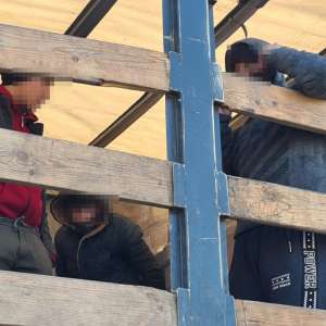 Zece cetăţeni  străini depistaţi ascunşi în automărfare, la P.T.F. Nădlac II și Borș II   