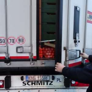 Cinci cetățeni străini, depistaţi ascunşi într-un camion cu portocale