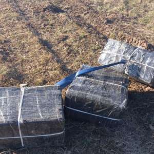 Trei cetățeni ucraineni cercetați pentru contrabandă cu țigarete