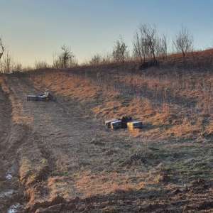 Trei cetățeni ucraineni cercetați pentru contrabandă cu țigarete