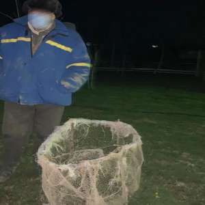 Lucrare penală pentru braconaj piscicol, întocmită de polițiștii de frontieră