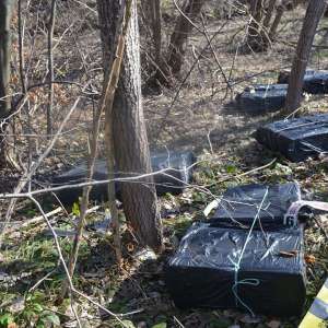 Aproximativ 16.000 pachete țigări confiscate la frontiera de nord a României