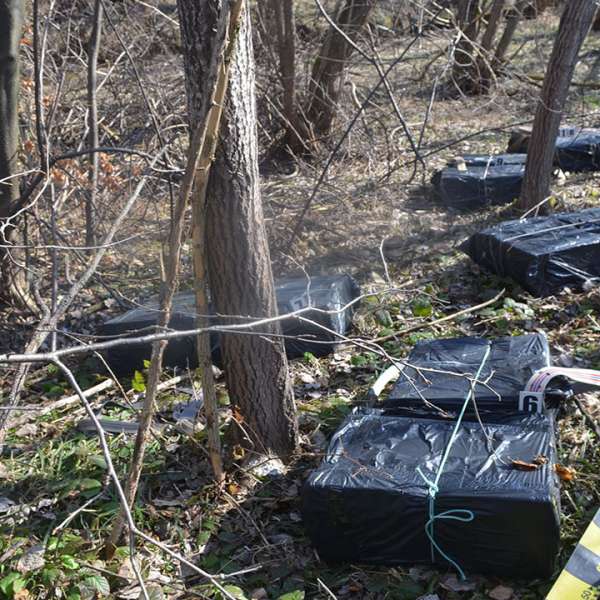 Aproximativ 16.000 pachete țigări confiscate la frontiera de nord a României