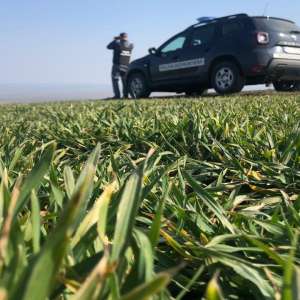 Peste 1.000 de poliţişti de frontieră vor fi la datorie, zilnic, în perioada Sărbătorilor Pascale Catolice