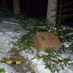 Peste 6.800 pachete cu țigarete de contrabandă descoperite de polițiștii de frontieră suceveni