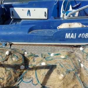 Cetățeni români cercetați pentru pescuit comercial în perioada de prohibiție și comercializare fără documente a peste 100 kg de peşte