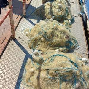 Cetățeni români cercetați pentru pescuit comercial în perioada de prohibiție și comercializare fără documente a peste 100 kg de peşte