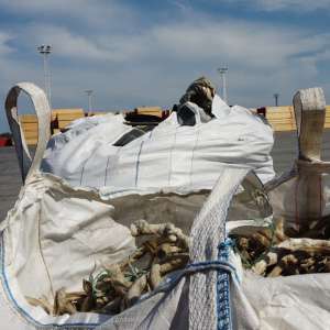 Container încărcat cu deșeuri, depistat în Portul Constanţa Sud Agigea