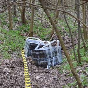 Colete cu țigarete de contrabandă descoperite la frontiera cu Ucraina