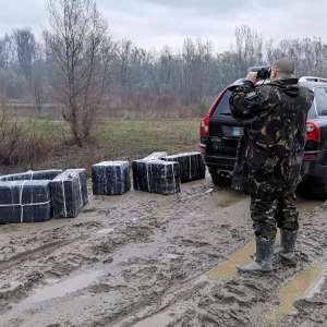 Peste 12.000  pachete cu țigări confiscate la frontiera de nord