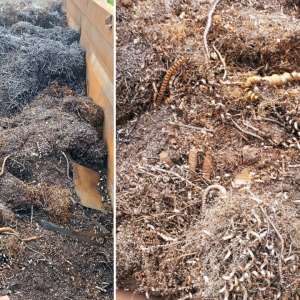 Peste 22 tone de deșeuri metalice, oprite la P.T.F. Giurgiu