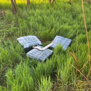 Trei sătmăreni cercetați pentru contrabandă și peste 16.400 pachete cu ţigări confiscate la frontiera cu Ucraina