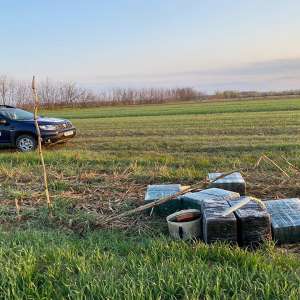 Trei sătmăreni cercetați pentru contrabandă și peste 16.400 pachete cu ţigări confiscate la frontiera cu Ucraina