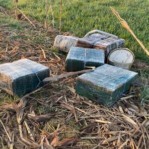 Trei sătmăreni cercetați pentru contrabandă și peste 16.400 pachete cu ţigări confiscate la frontiera cu Ucraina