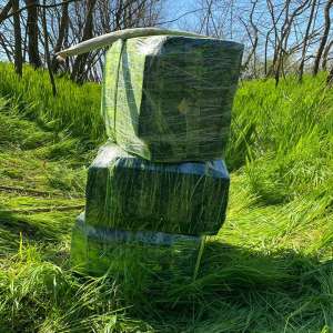 Trei sătmăreni cercetați pentru contrabandă și peste 16.400 pachete cu ţigări confiscate la frontiera cu Ucraina