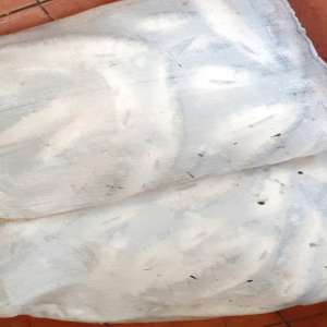 Braconaj piscicol cu plase interzise descoperit de polițiștii de frontieră tulceni