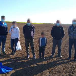 Opt cetăţeni din Siria și Irak, depistaţi în apropierea frontierei cu Ungaria