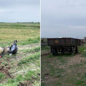 Transport ilegal de sturioni și alte specii de pește depistat de polițiștii de frontieră brăileni