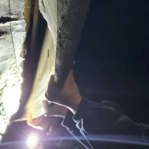 Aproximativ 50 cetăţeni străini depistaţi la P.T.F. Borș II și Nădlac