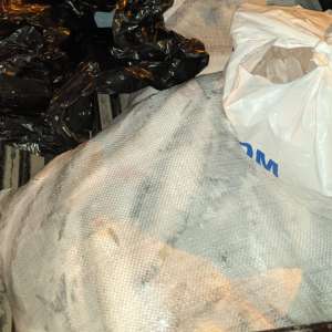 172  kilograme de peşte confiscate de poliţiştii de frontieră tulceni