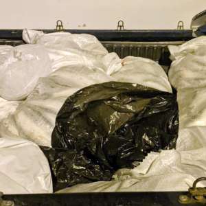 172  kilograme de peşte confiscate de poliţiştii de frontieră tulceni