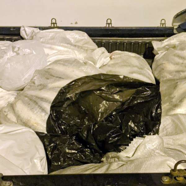 172 kilograme de peşte confiscate de poliţiştii de frontieră tulceni