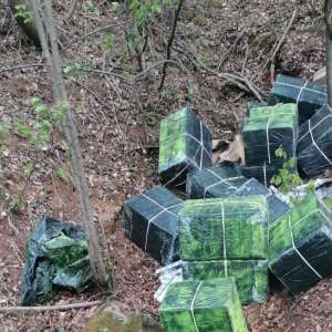 22.000 pachete țigări descoperite la frontiera de nord