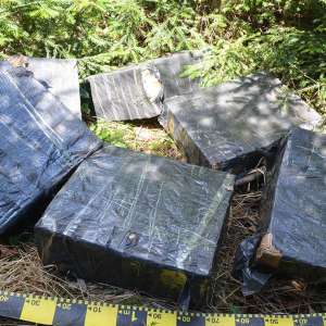 22.000 pachete țigări descoperite la frontiera de nord