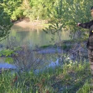 Cetăţean moldovean depistat în tentativă de trecere ilegală a frontierei de stat