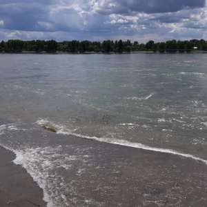 Plase monofilament îndepărtate din râul Prut de polițiștii de frontieră botoşăneni