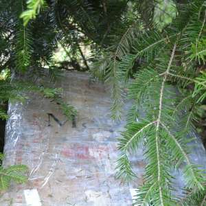 Peste 46.000 pachete țigări descoperite la frontiera de nord