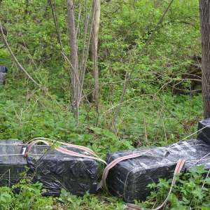 Un maramureşean cercetat pentru contrabandă şi aproximativ 13.000 pachete țigări confiscate la frontiera de nord