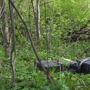 Un maramureşean cercetat pentru contrabandă şi aproximativ 13.000 pachete țigări confiscate la frontiera de nord