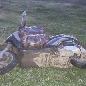 Un moped furat, peşte şi unelte de pescuit reţinute de poliţiştii de frontieră brăileni