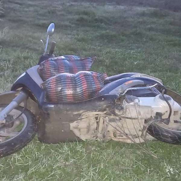 Un moped furat, peşte şi unelte de pescuit reţinute de poliţiştii de frontieră brăileni