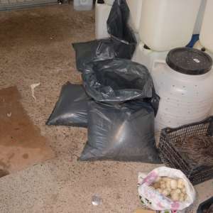 Un moped furat, peşte şi unelte de pescuit reţinute de poliţiştii de frontieră brăileni