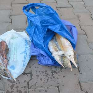 Un moped furat, peşte şi unelte de pescuit reţinute de poliţiştii de frontieră brăileni