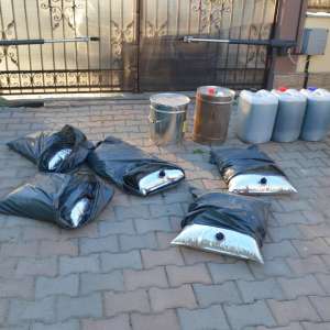 Un moped furat, peşte şi unelte de pescuit reţinute de poliţiştii de frontieră brăileni