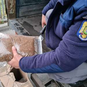 50 de kilograme de tutun prelucrat, descoperite într-o autoutilitară în P.T.F. Giurgiu