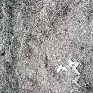 Deșeuri din aluminiu transportate ilegal din Bulgaria,  oprite la P. T. F. Giurgiu