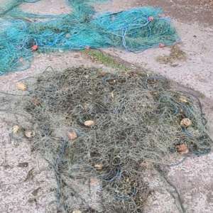 Aproximativ 60 de kilograme de peşte şi bunuri în valoare  totală de 11.800 de lei descoperite de polițiștii de frontieră brăileni