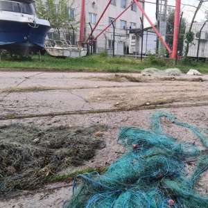 Aproximativ 60 de kilograme de peşte şi bunuri în valoare  totală de 11.800 de lei descoperite de polițiștii de frontieră brăileni