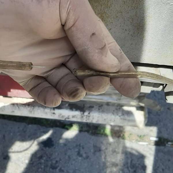 Doi sirieni, ascunși întru-un automarfar, depistați la frontiera bulgaro-română