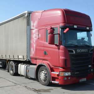 Călauză afgană şi 18 migranţi, depistaţi la Timisoara